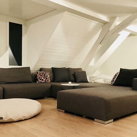 Luxury Penthouse Apartment Zurich Exterior photo
